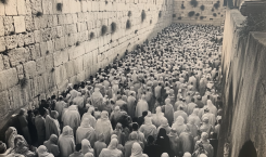 avitalked_a_lot_of_jews_praying_at_the_western_wall_55868a65-a3e8-41ff-895d-019f8875e7da