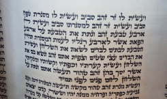 טנת''א